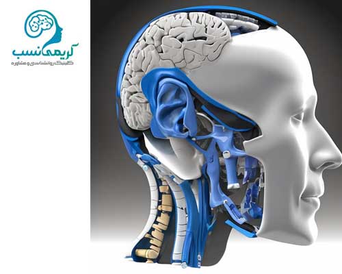 تحریک مغز و tdcs